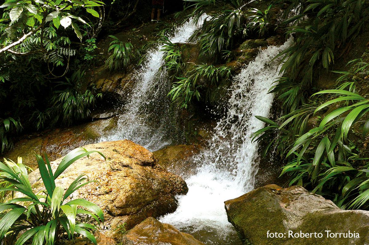 Cachoeira da Brava - Trindade - Paraty RJ - foto: Roberto Torrubia