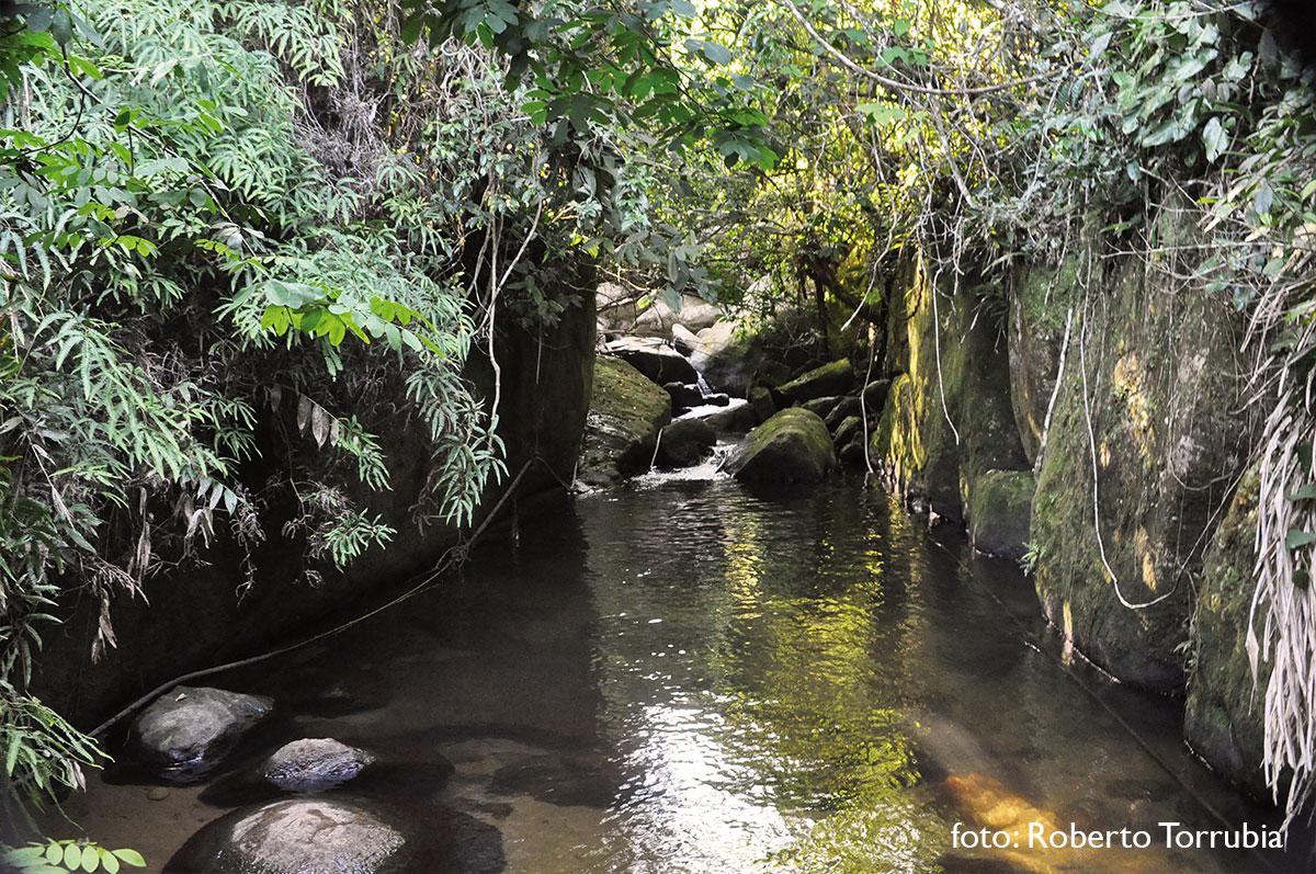 Dois Paredões - Trindade - Paraty RJ - foto: Roberto Torrubia