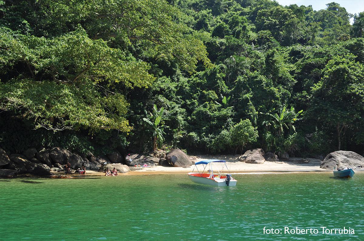 Praia do Cepilho - Trindade - Paraty RJ - foto: Roberto Torrubia