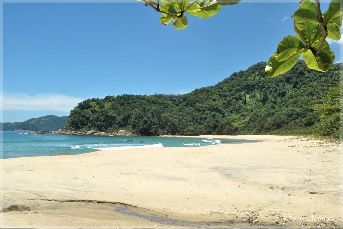 Praia Brava - Trindade - Paraty RJ - foto: Roberto Torrubia