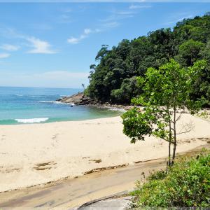 Praia Brava - Trindade - Paraty RJ - Foto: Roberto Torrubia