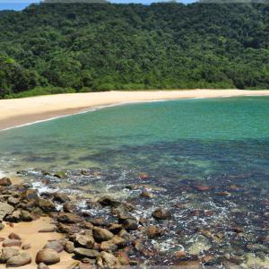 Praia Brava - Trindade - Paraty RJ - Foto: Roberto Torrubia