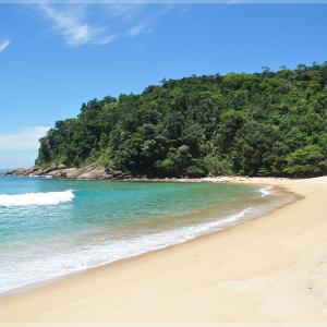 Praia Brava - Trindade - Paraty RJ - Foto: Roberto Torrubia