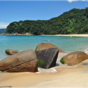 Praia Brava - Trindade - Paraty RJ - Foto: Roberto Torrubia